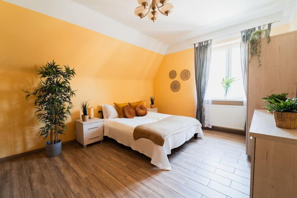 Market Square - Street Rynek 24 -2 Rooms Wrocław Eksteriør bilde
