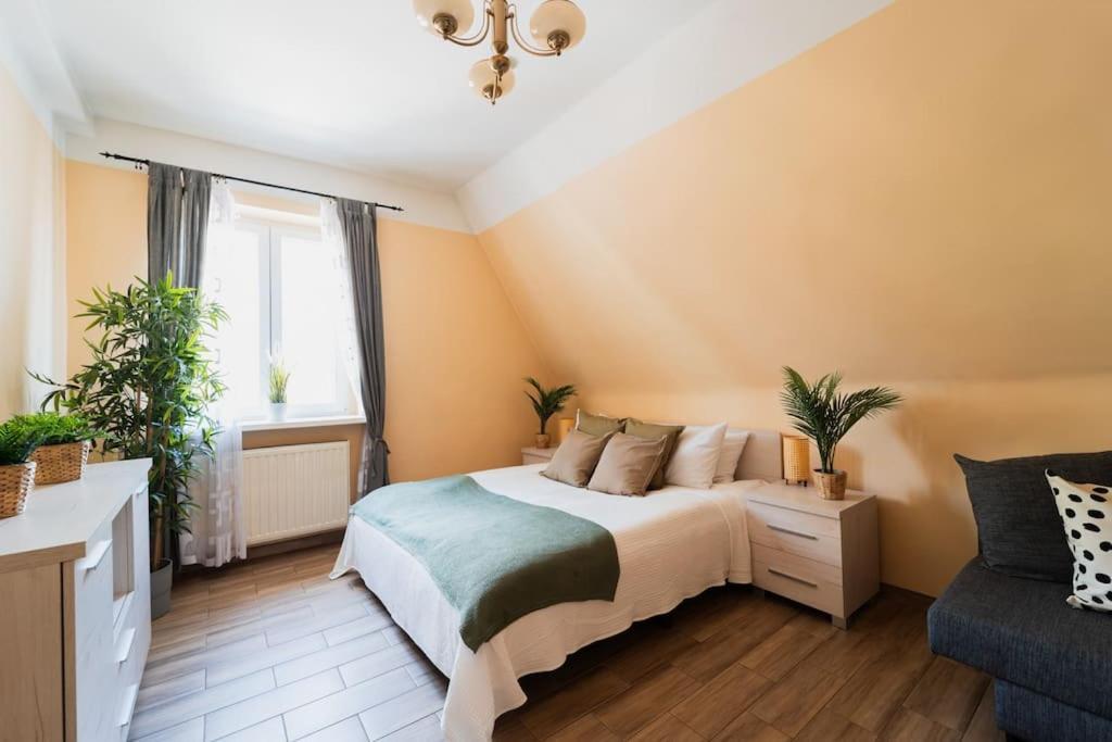 Market Square - Street Rynek 24 -2 Rooms Wrocław Eksteriør bilde