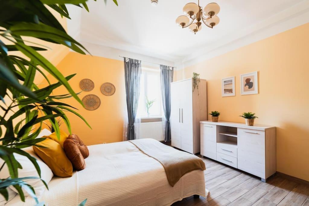 Market Square - Street Rynek 24 -2 Rooms Wrocław Eksteriør bilde
